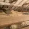 Spray Foam Insulation